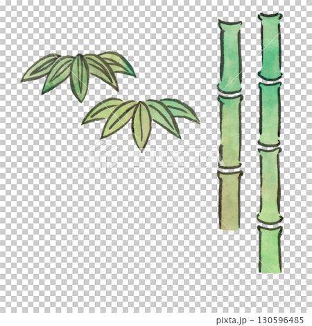 筆と墨で描いた竹のイラストのイラスト素材 [130596485] - PIXTA