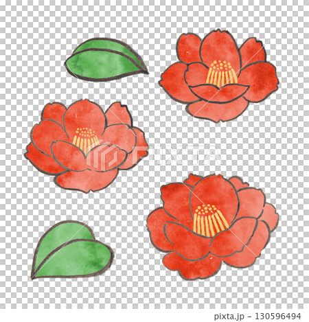 A simple illustration of a camellia drawn with a brush and ink A simple illustration of a camellia drawn with a brush and ink 130596494