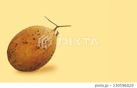 Orange oval melon fruit with textured skin resting on soft yellow background. Image with copy space 130596820