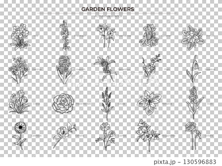 秋冬の花の線画イラストセット 秋冬の花の線画イラストセット 130596883