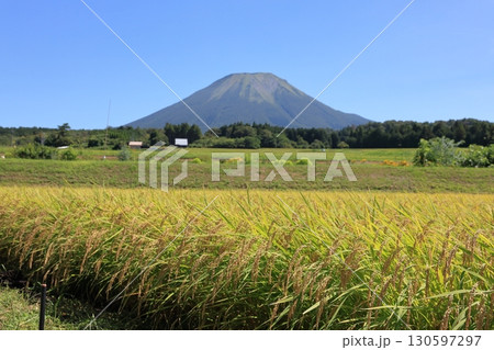 大山と稲穂　2 130597297