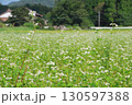 蕎麦畑のある風景 130597388