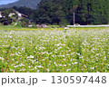 蕎麦の花が咲く風景 130597448