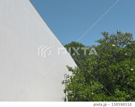 Modern architectural wall with sharp geometric angle against bright blue sky, contrasted by lush Modern architectural wall with sharp geometric angle against bright blue sky, contrasted by lush 130598318