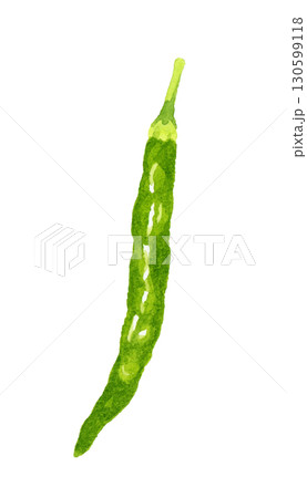 青唐辛子(単品) 野菜・薬味の手描き水彩イラスト素材 青唐辛子(単品) 野菜・薬味の手描き水彩イラスト素材 130599118