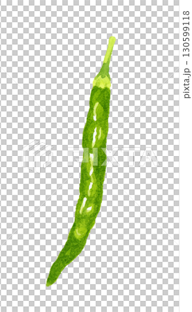 青唐辛子(単品) 野菜・薬味の手描き水彩イラスト素材 青唐辛子(単品) 野菜・薬味の手描き水彩イラスト素材 130599118
