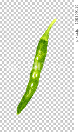 青辣椒(單品)手繪水彩畫蔬菜和調味品 青辣椒(單品)手繪水彩畫蔬菜和調味品 130599119