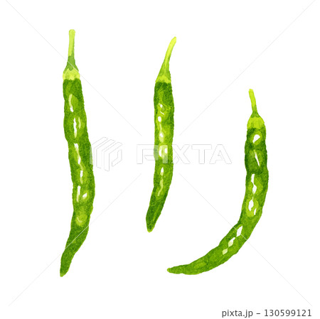 青唐辛子のセット　野菜・薬味の手描き水彩イラスト素材 130599121