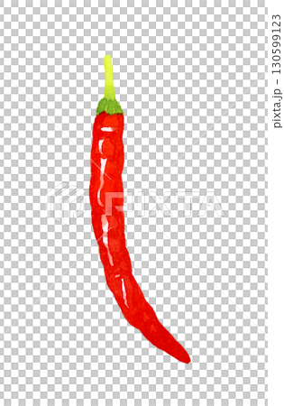 赤唐辛子（単品）　野菜・薬味の手描き水彩イラスト素材 130599123