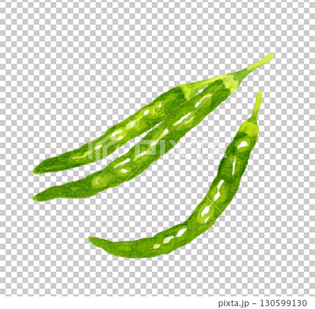 青唐辛子のセット 野菜・薬味の手描き水彩イラスト素材 青唐辛子のセット 野菜・薬味の手描き水彩イラスト素材 130599130