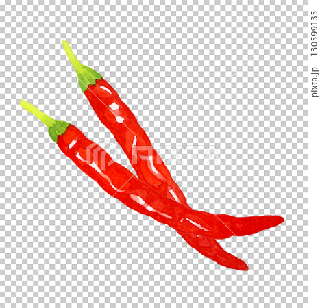 一組紅辣椒-蔬菜和調味品的手繪水彩插圖 130599135