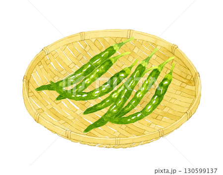 竹ざるに乗った青唐辛子　野菜・薬味の手描き水彩イラスト素材 130599137