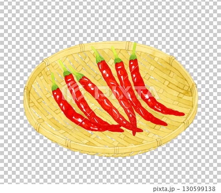 竹ざるに乗った赤唐辛子　野菜・薬味の手描き水彩イラスト素材 130599138