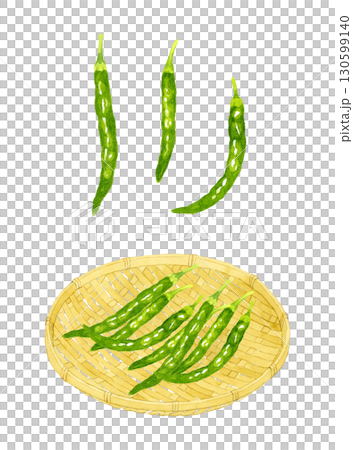 竹濾網上的一組青辣椒。手繪水彩畫，描繪蔬菜和調味品。 130599140