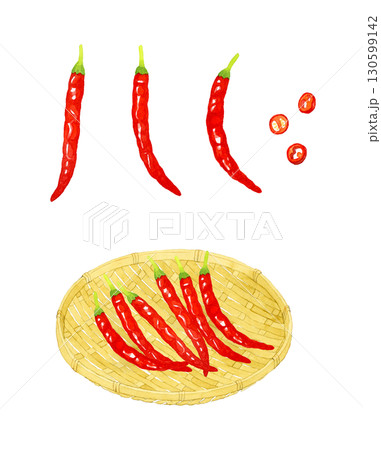 竹ざるに乗った赤唐辛子のセット　野菜・薬味の手描き水彩イラスト素材 130599142