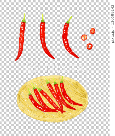 竹ざるに乗った赤唐辛子のセット　野菜・薬味の手描き水彩イラスト素材 130599142