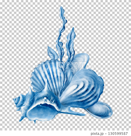 Marine seashells arrangement:twisted spiky seashell,oyster,mussel,ribbed cemicircular seashell,stylized laminaria blue monochrome colors.Hand-drawn watecolor illustration isolated on white 130599587