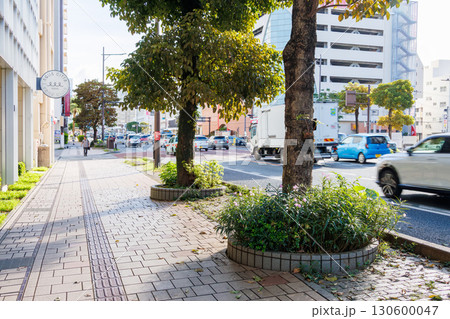 港へ向かう国道。 植え込みの植物も熱帯植物。沖縄県那覇市那覇泊港-2025/6/26 130600047