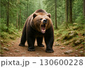 森の中で威嚇するクマ 130600228