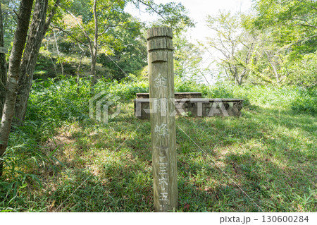 十禅寺山の金剛峰(岡山県玉野市) 十禅寺山の金剛峰(岡山県玉野市) 130600284