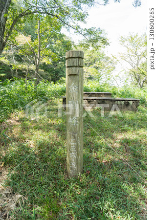 十禅寺山の金剛峰（岡山県玉野市） 130600285
