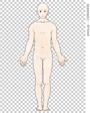 解剖直男正面水彩風格 130600698