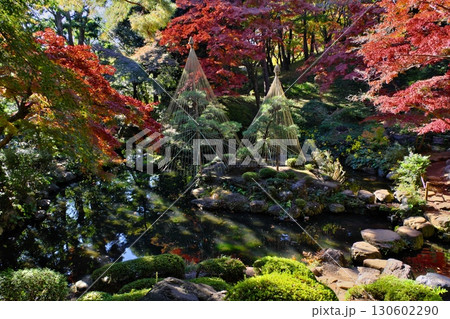 東京の庭園の紅葉（秋イメージ） 130602290