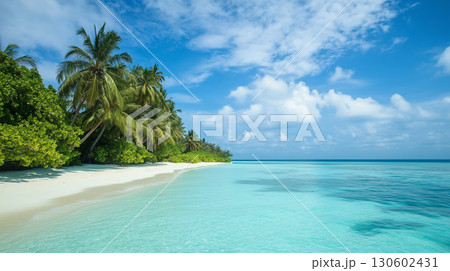 Tropical beach. Summer vacation on a tropical island with beautiful beach and palm trees. Tropical Maldives. 130602431