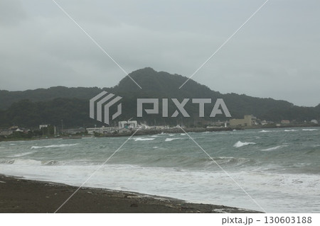 保田海岸を歩いた 130603188