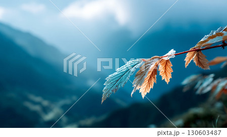 Frost covered autumn leaves on branch with mountain background in cold weather 130603487