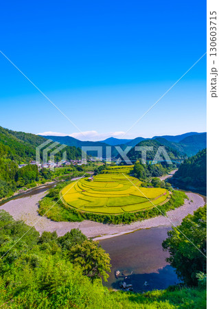 和歌山県あらぎ島 実りの秋 130603715