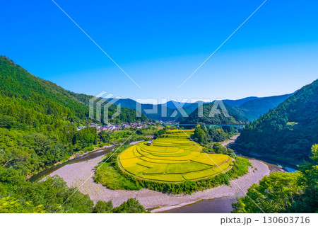 和歌山県あらぎ島 実りの秋 和歌山県あらぎ島 実りの秋 130603716