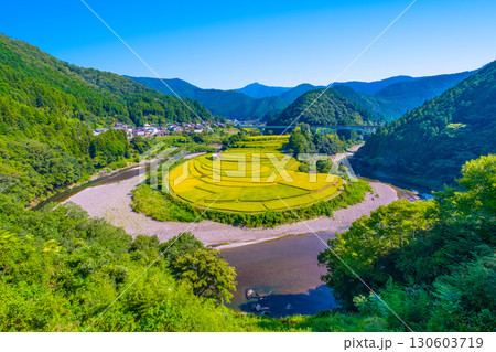 和歌山県あらぎ島 実りの秋 130603719