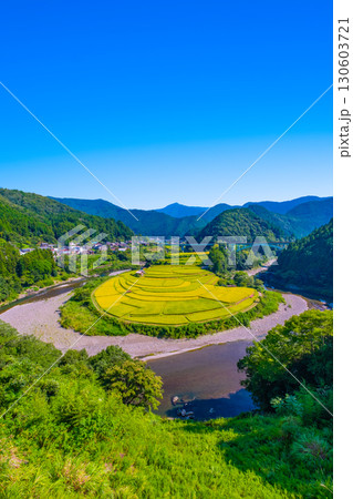 和歌山県あらぎ島 実りの秋 和歌山県あらぎ島 実りの秋 130603721