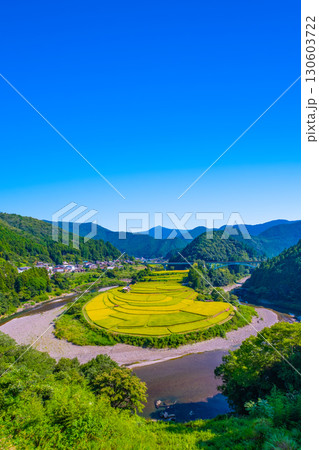 和歌山県あらぎ島 実りの秋 130603722