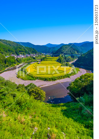 和歌山県あらぎ島 実りの秋 130603723