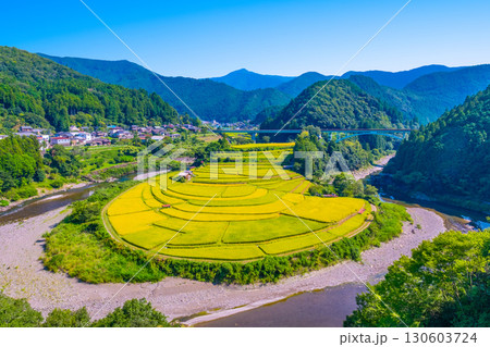 和歌山県あらぎ島 実りの秋 130603724
