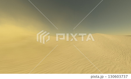 砂漠 130603737