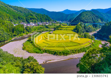 和歌山県あらぎ島 実りの秋 130603741