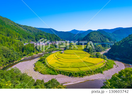 和歌山県あらぎ島 実りの秋 130603742