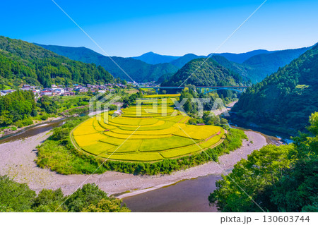 和歌山県あらぎ島 実りの秋 130603744