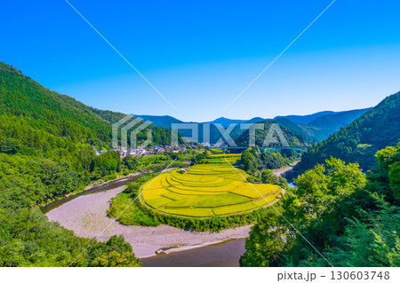 和歌山県あらぎ島 実りの秋 130603748