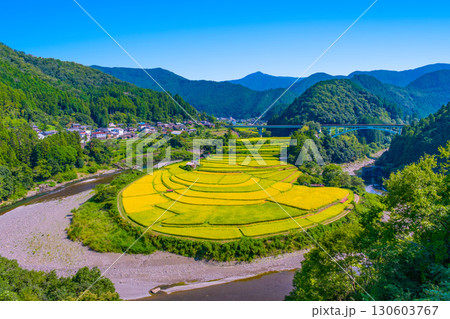 和歌山県あらぎ島 実りの秋 130603767