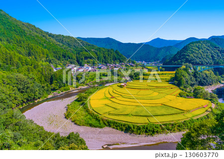 和歌山県あらぎ島 実りの秋 130603770