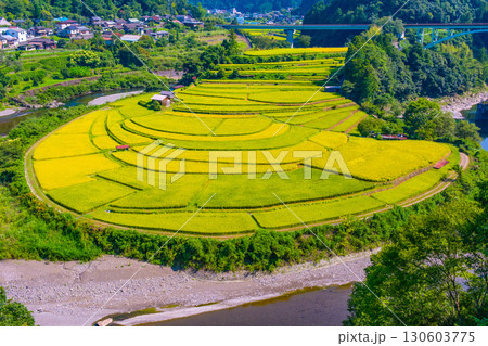 和歌山県あらぎ島 実りの秋 130603775