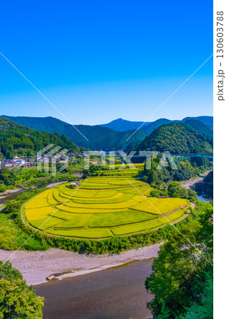 和歌山県あらぎ島 実りの秋 和歌山県あらぎ島 実りの秋 130603788