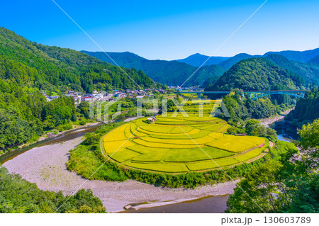 和歌山県あらぎ島 実りの秋 130603789