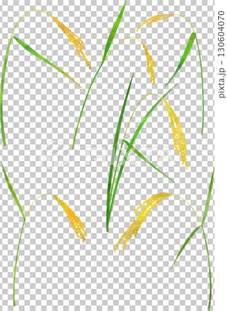 稻穗插圖素材 稻穗插圖素材 130604070