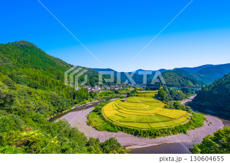 和歌山県あらぎ島 実りの秋 130604655