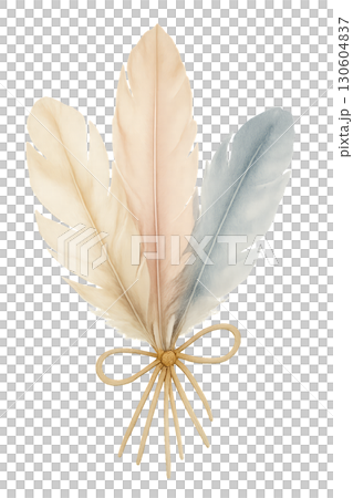 A delicate bohemian watercolor feather bundle tied together PNG image with transparent background 130604837